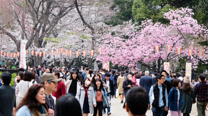 Japan: Insurance giant's in-force business to support core operating profit over the long term